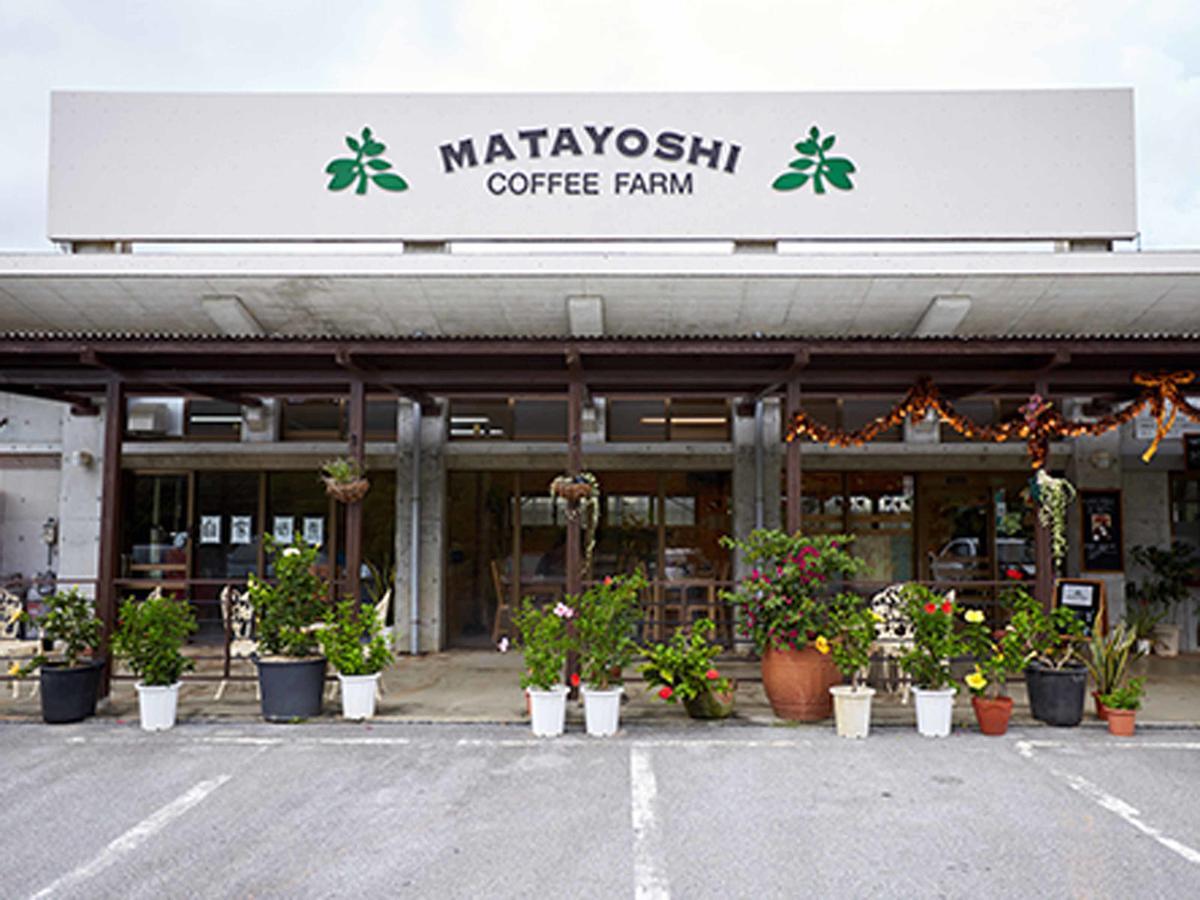 Вілла Matayoshi Coffee Farm Higashi Екстер'єр фото
