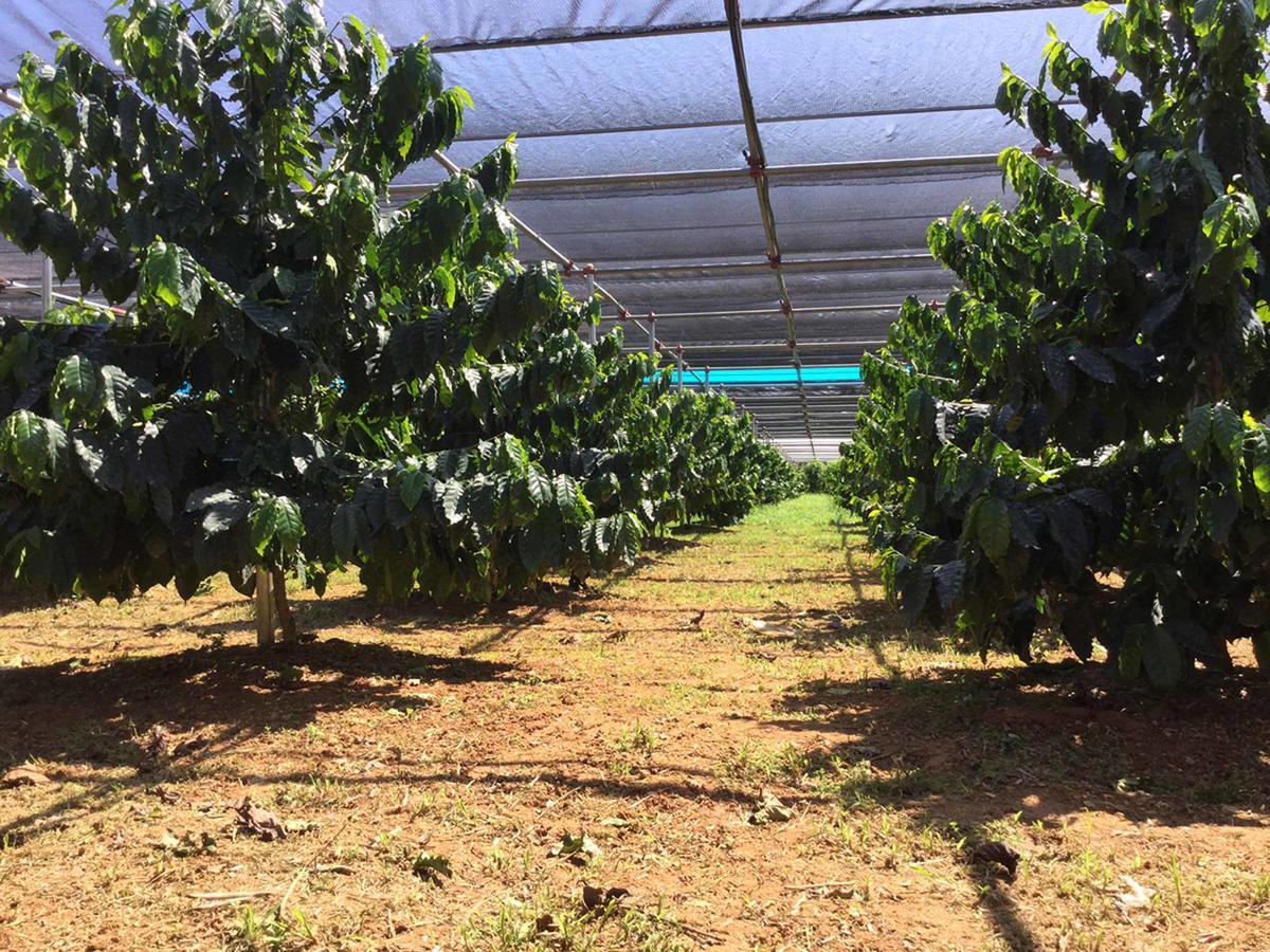 Вілла Matayoshi Coffee Farm Higashi Екстер'єр фото