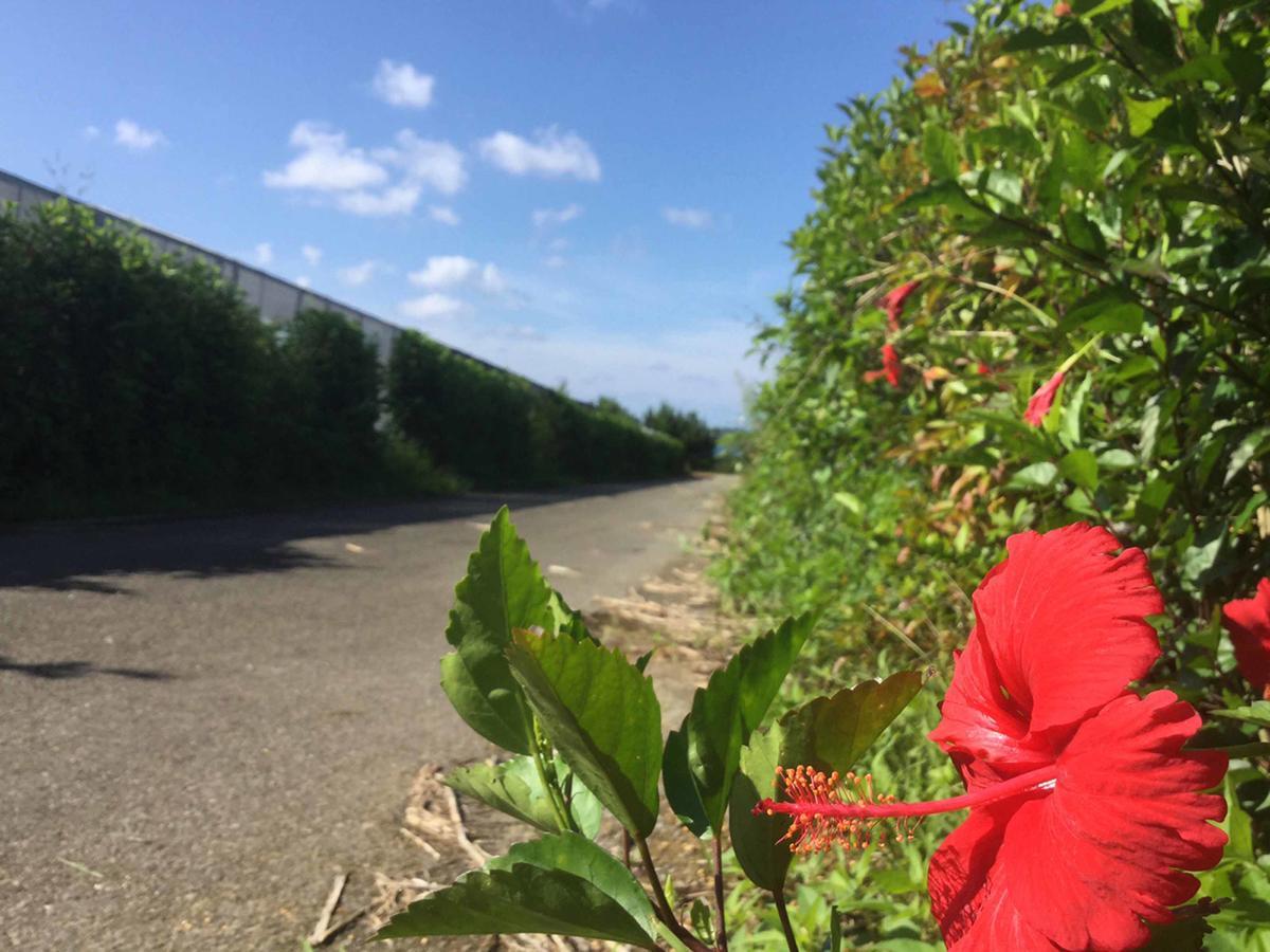 Вілла Matayoshi Coffee Farm Higashi Екстер'єр фото